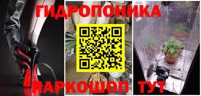 ГАЛЛЮЦИНОГЕННЫЕ ГРИБЫ Гудермес