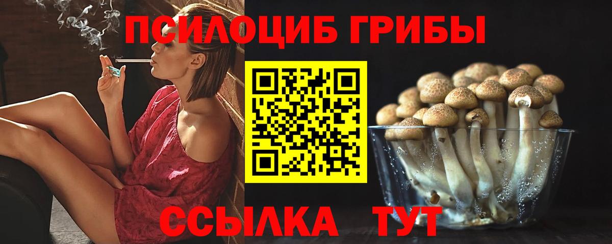 Псилоцибиновые грибы мухоморы Вязники